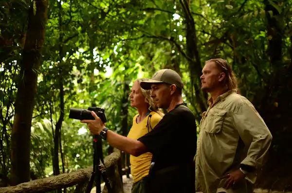 Breathtaking view of a suspension bridge spanning the Arenal rainforest canopy at Mistico Park