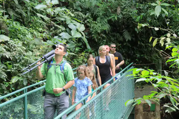 Exotic tropical birds like the Motmot spotted in the undergrowth of the Arenal forest