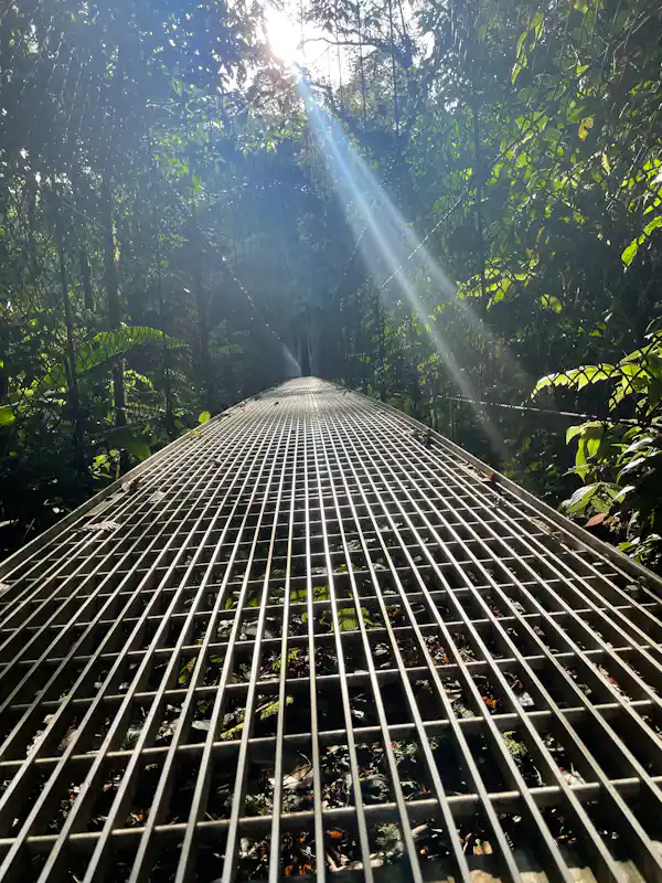 Detailed view of the engineering and safety of the Arenal suspension bridges