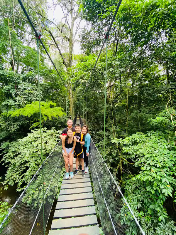 The serene beauty of the Costa Rican jungle canopy from a high suspension bridge