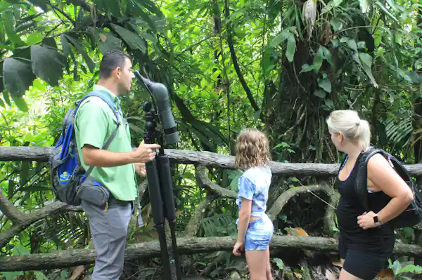 Arenal Volcano hiking trail connecting with the hanging bridges canopy experience for a combo tour
