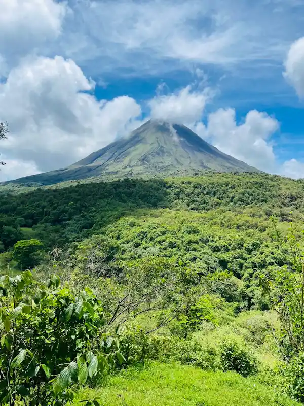 Educational hike focusing on vulcanology and the natural recovery of the Arenal ecosystem