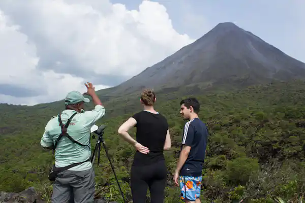 Lush primary rainforest regeneration growing over ancient volcanic soil in the La Fortuna region