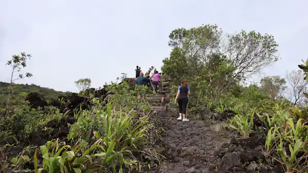 Wildlife spotting opportunity: observing coatis and tropical birds during a guided volcano trail hike