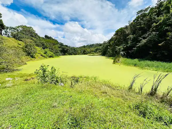 Geological wonders and volcanic basalt rocks found near the foothills of the Arenal volcano park