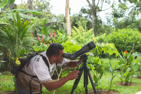 Arenal Birdwatching and Breakfast tour experience: discovering biodiversity at sunrise