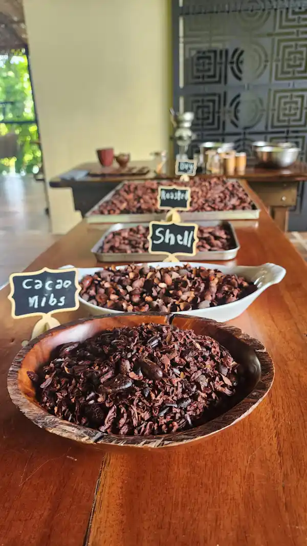 Interactive chocolate tasting session featuring organic dark chocolate, spices, and fresh tropical ingredients