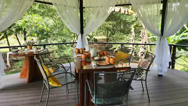 Authentic Costa Rican wood-fired stove (Fogón) used for traditional slow-cooking at the Rainforest Explorers Rancho