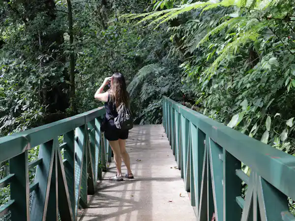 Well-maintained rainforest canyon trails and stairs leading visitors to the base of the waterfall