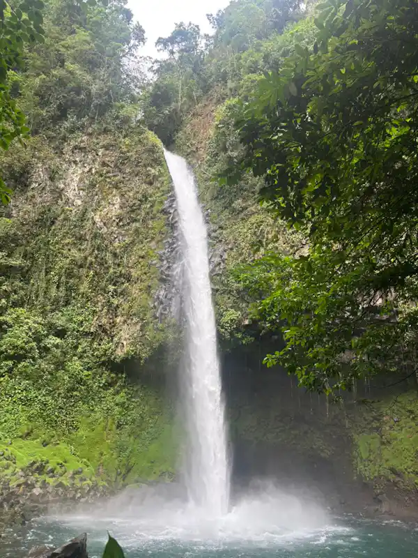 Rich riverbank biodiversity and ancient ferns observed during the guided Fortuna Waterfall tour