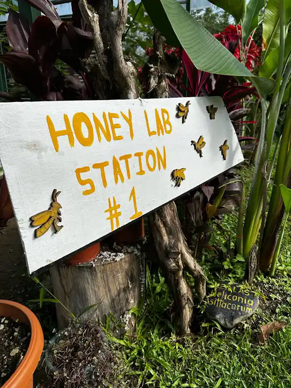 Interactive honey-making workshop for families at Rainforest Explorers in Arenal