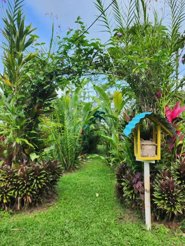 A peaceful and educational eco-tour experience for nature lovers in La Fortuna