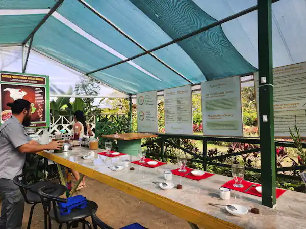 The serene atmosphere of the Rainforest Explorers gardens at the base of Chato Volcano