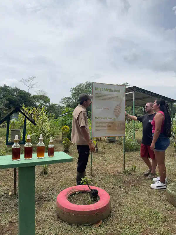 Gourmet honey tasting session featuring different floral varieties at our traditional Rancho