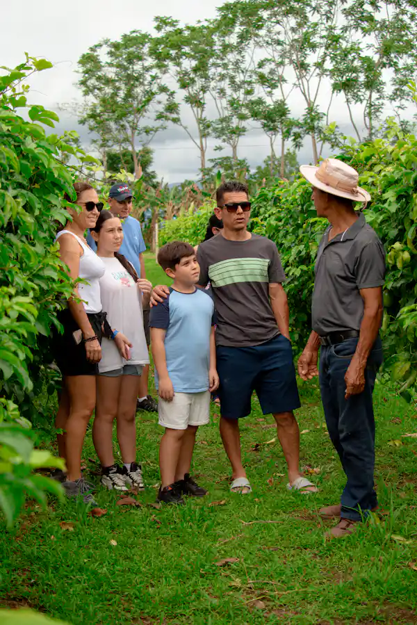 Lush tropical nature and dense canopy biodiversity integrated with our sustainable passion fruit farming practices