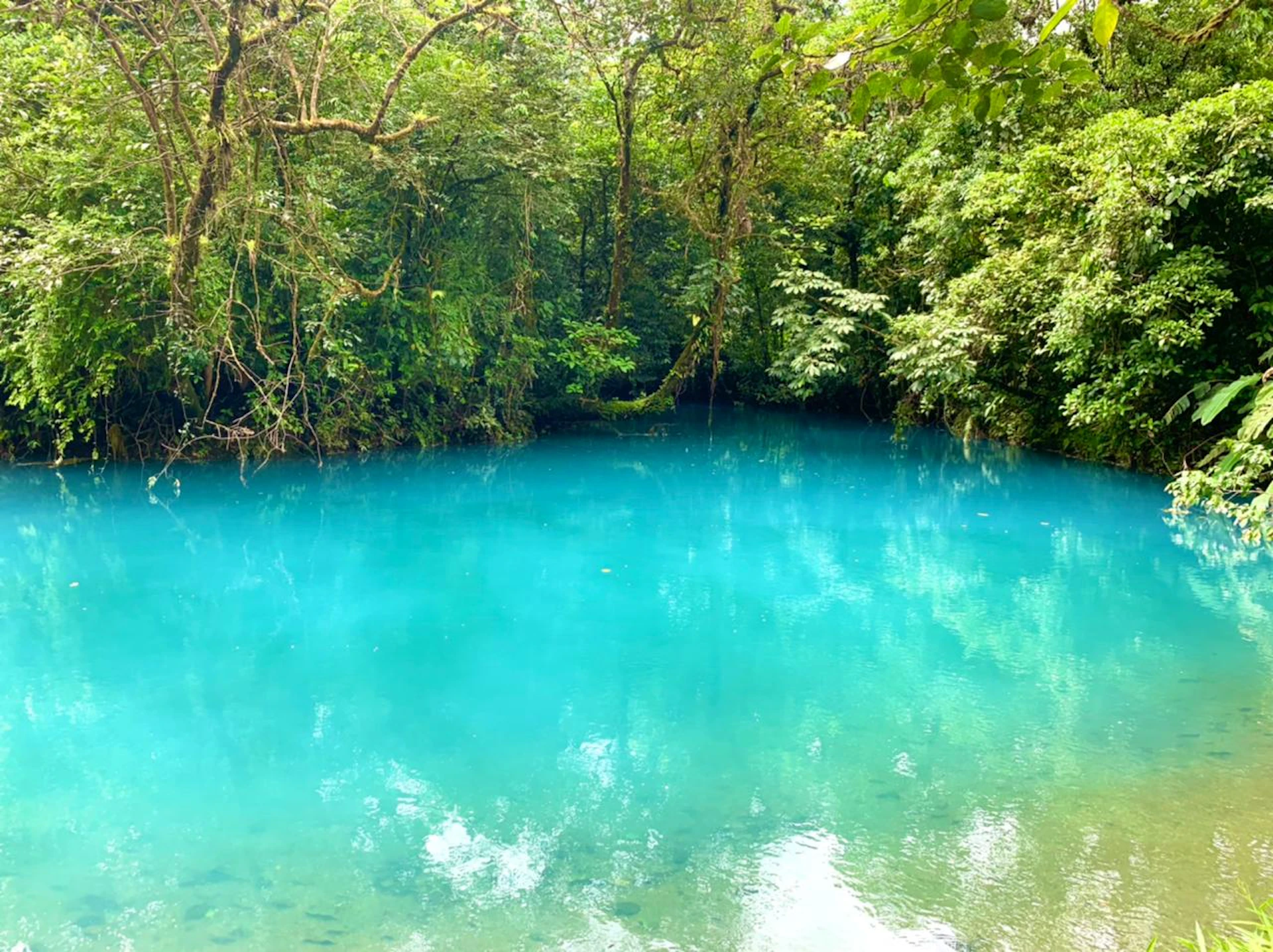 Rio Celeste Nature Escape