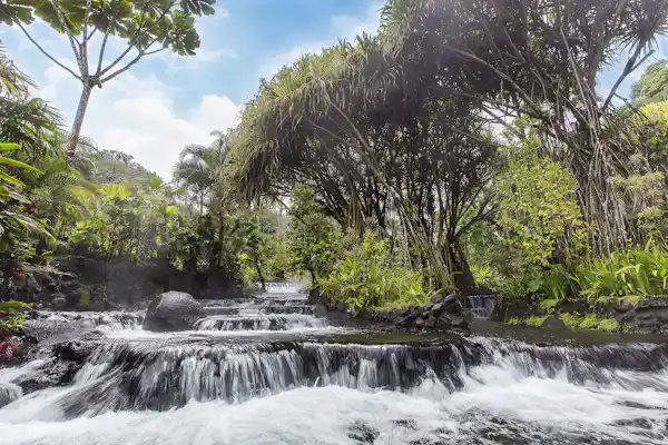 Relaxing mineral-rich thermal pools naturally heated by the Arenal Volcano at the world-renowned Tabacon Spa